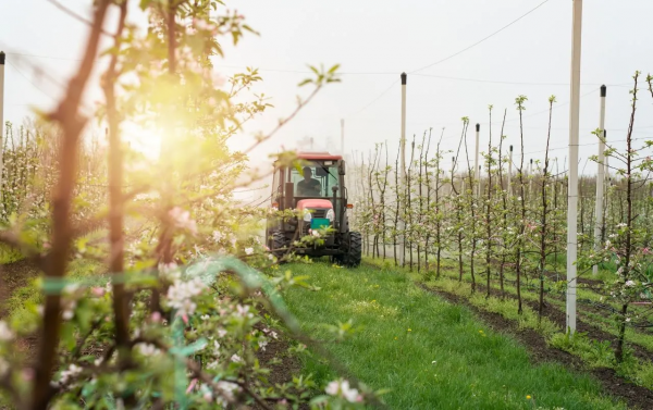 Consrcio de mquinas agrcolas: entenda como funciona