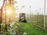 Consrcio de mquinas agrcolas: entenda como funciona